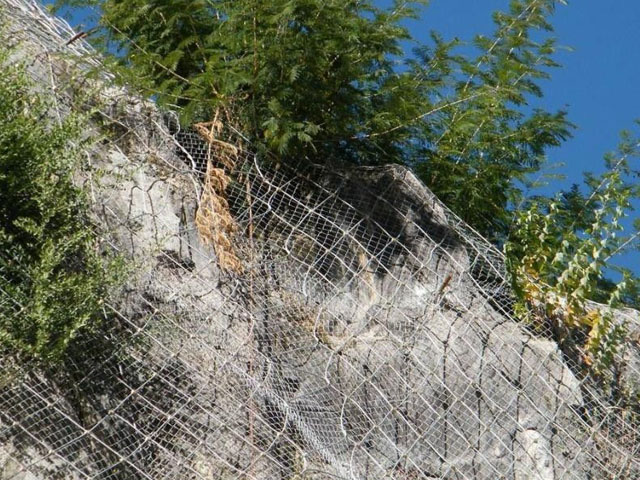 主動邊坡防護網(wǎng)